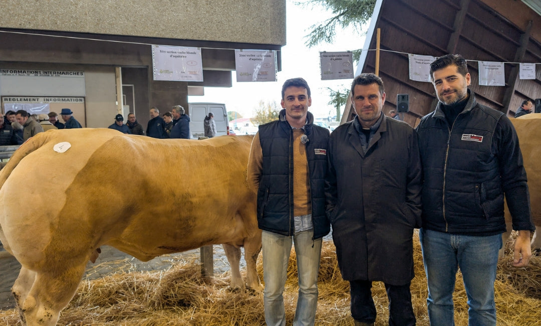 Maison Lascours au Marché aux Bestiaux d’Agen : célébrer l’excellence bouchère locale