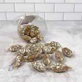 Mini Saucissons Nature